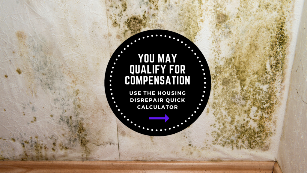 Housing Disrepair Claim